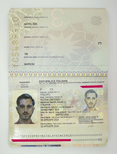 Portrait for Passport - a Paint Artowrk by Nicola Vincenzo Piscopo